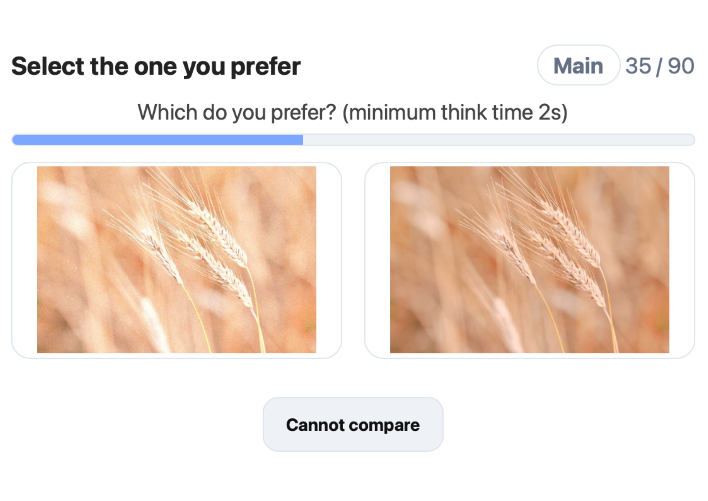 Pairwise comparison interface: two photos of the same scene with different styles, asking the user to pick the preferred one.
